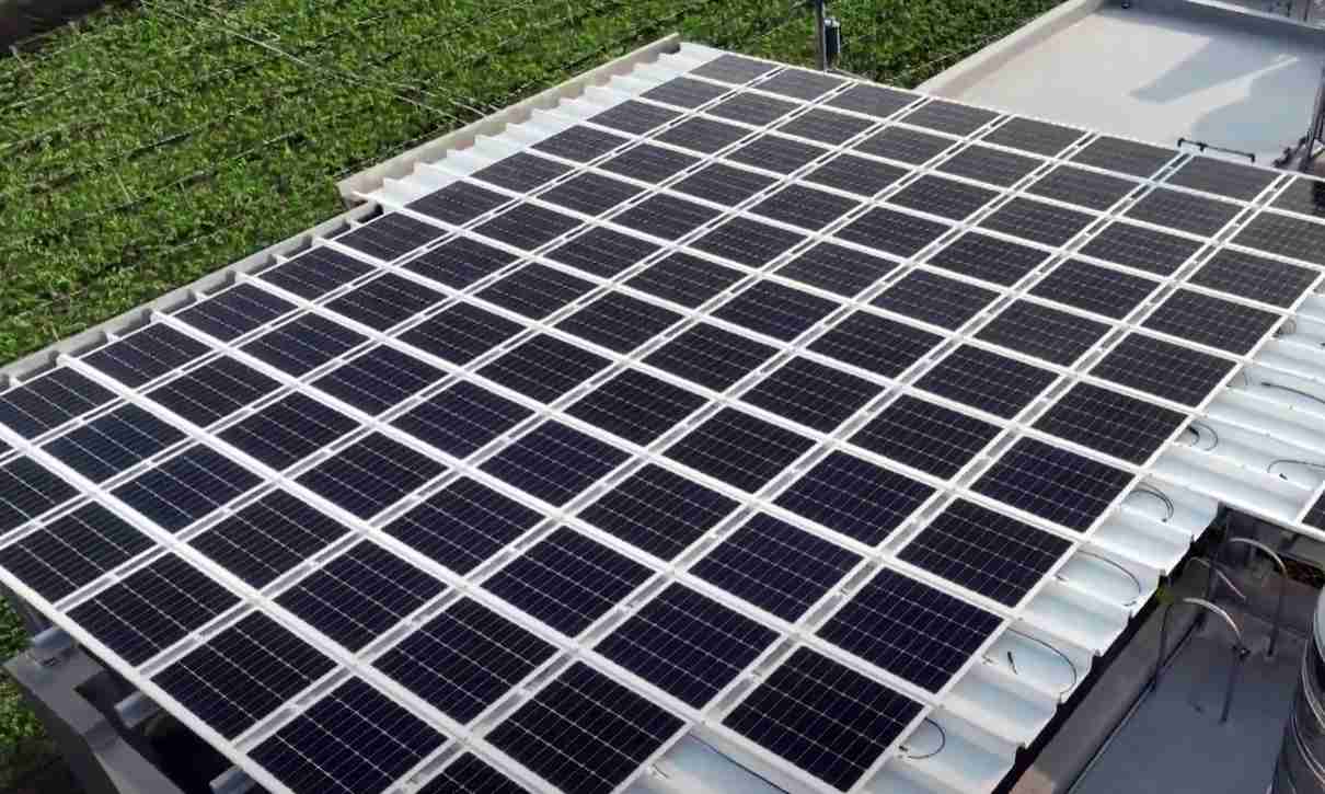 菠菜论坛SunSteel光电浪板升级双玻结构，，，以提升机械负载强度及气候耐候度，，，，可广泛运用于多元场域